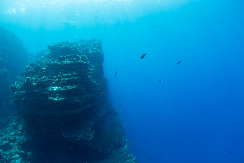 Snorkeling off NIihau