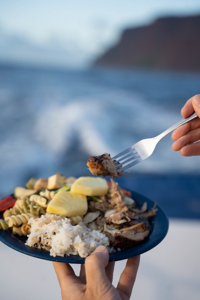 a person holding a plate of food
