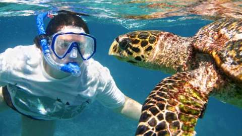 A woman coming face to face with a sea turtle