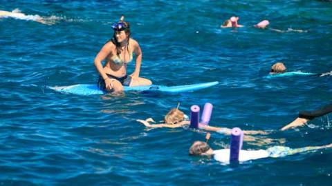 Niihau snorkeling tours