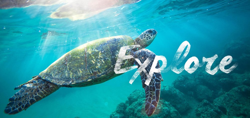 Kauai snorkeling locations