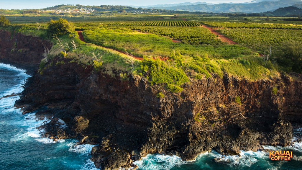 Kauai Coffee Recipe
