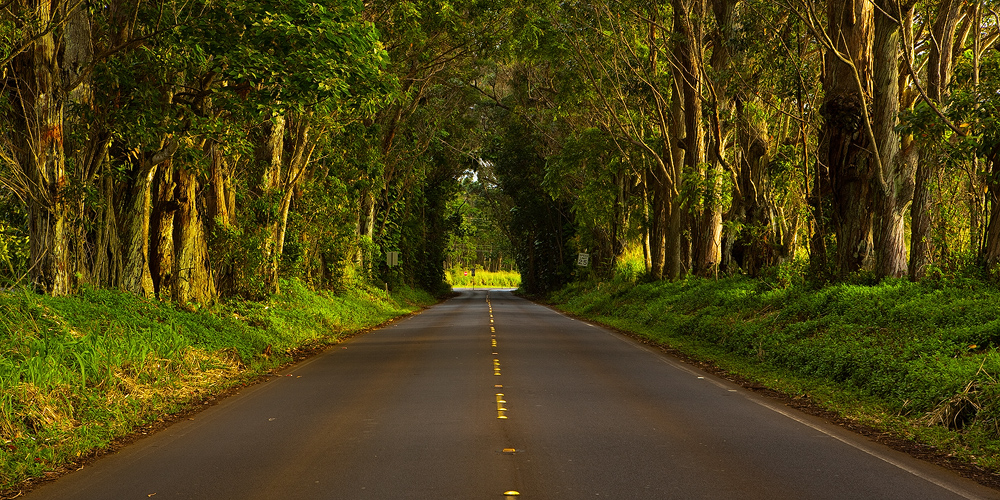 Driving on Kauai