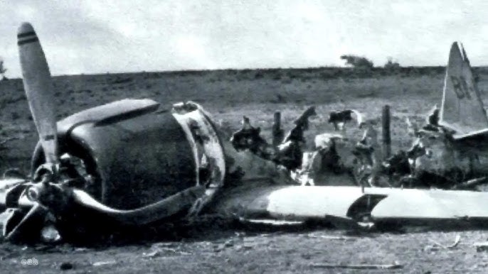Niihau plane crash