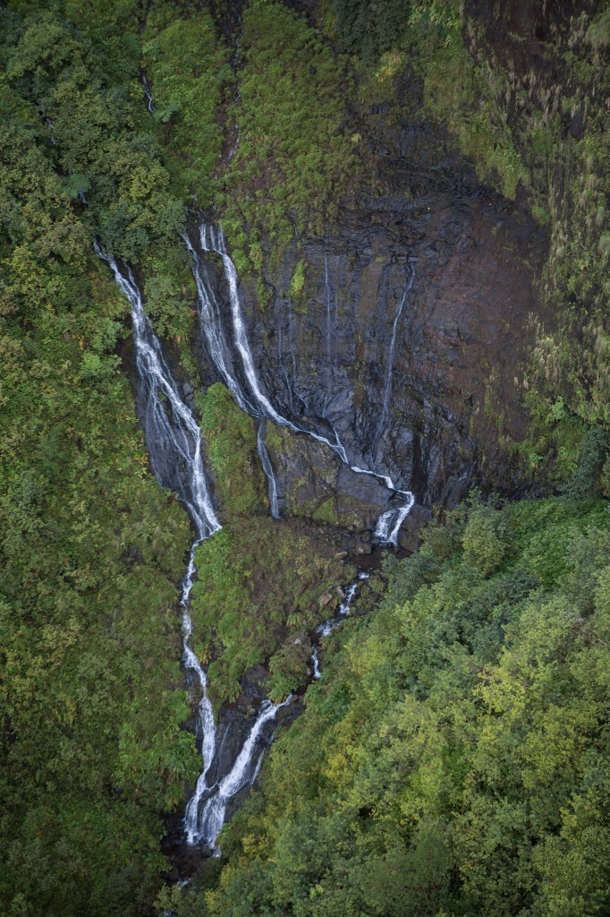 Kauai Photographer