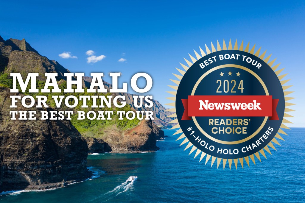 Best Boat Tour Kauai