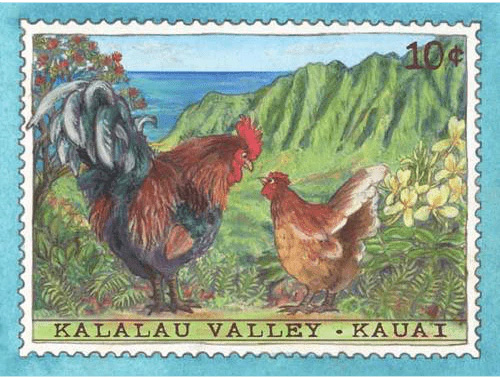 Kauai chicken art