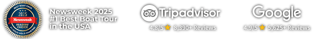 Awards and ratings for a boat tour from Newsweek, Tripadvisor, and Google.