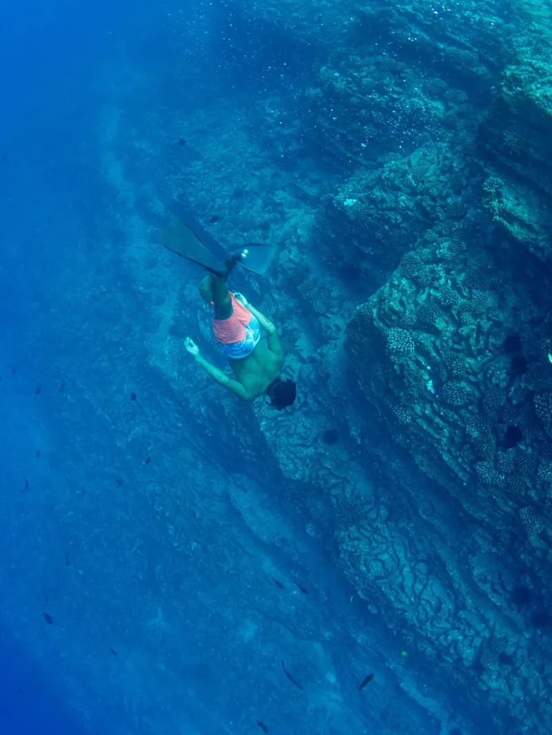 Person snorkeling near a coral reef in clear blue water.
