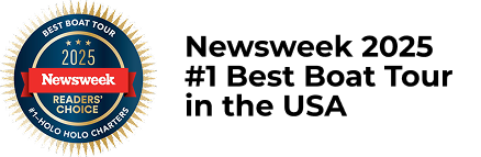 Newsweek badge for 2025 Best Boat Tour in the USA awarded to Holo Holo Charters.