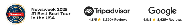 Newsweek 2025 best boat tour badge, TripAdvisor and Google ratings with stars and reviews.